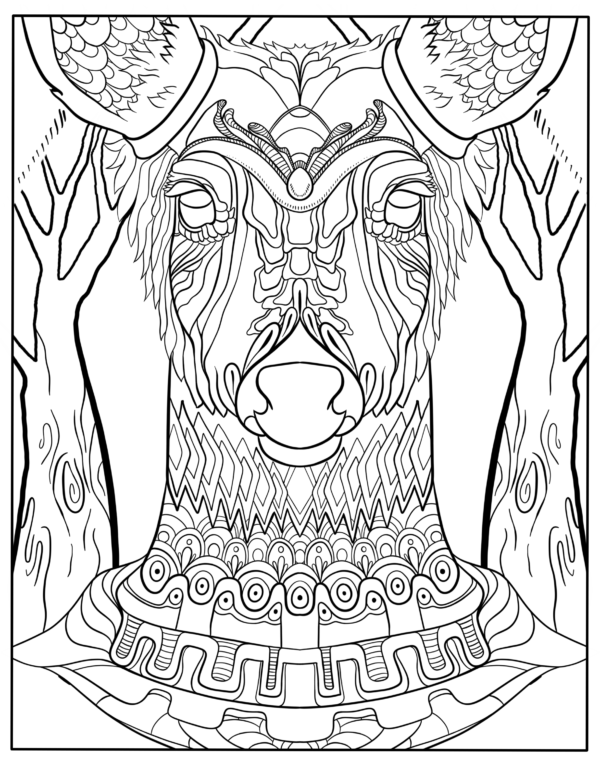 Secondary product image